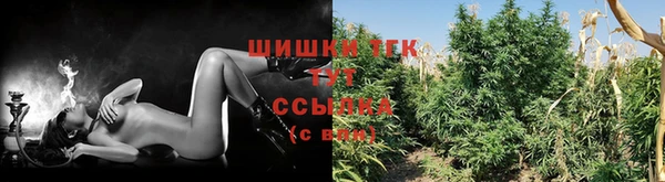 крисы Усинск