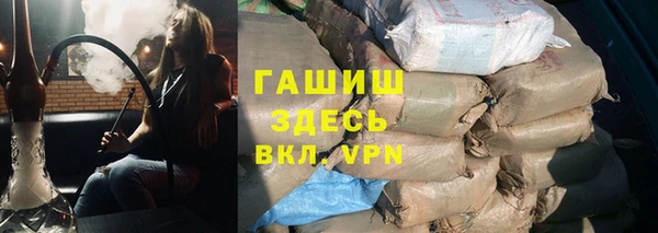индика Горняк