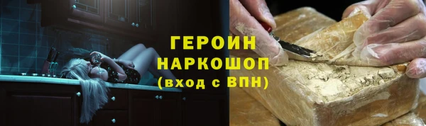 индика Горняк