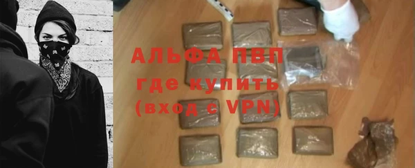 индика Горняк