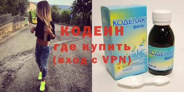 индика Горняк