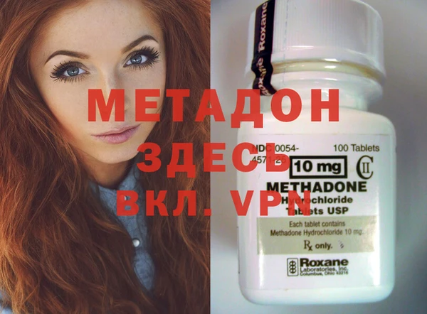 индика Горняк