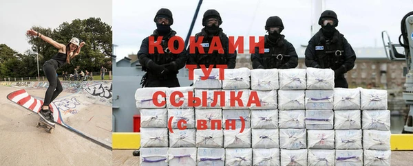 индика Горняк