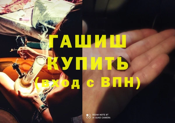 индика Горняк