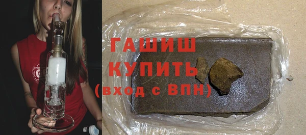 индика Горняк