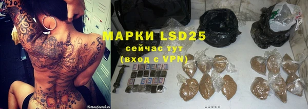 СК Горнозаводск
