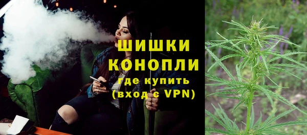 индика Горняк