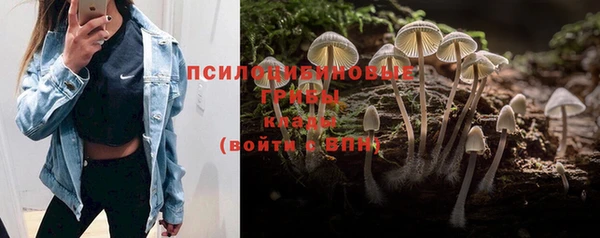 СК Горнозаводск