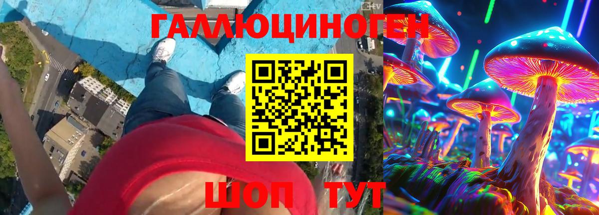 Псилоцибиновые грибы MAGIC MUSHROOMS Междуреченск