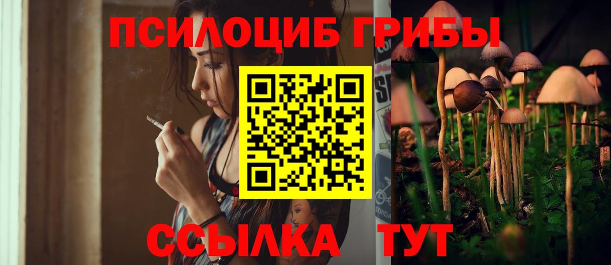 Псилоцибиновые грибы мухоморы  Междуреченск  Галлюциногенные грибы Magic Shrooms 