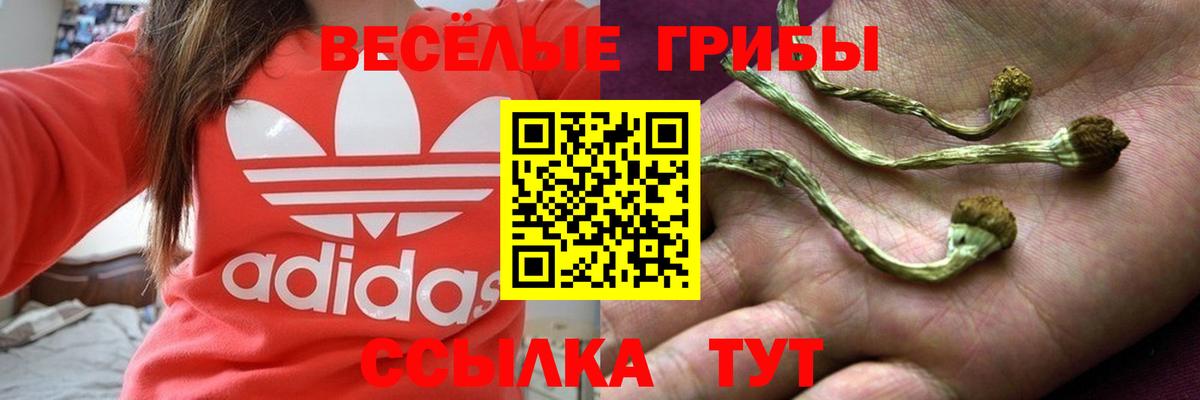 Псилоцибиновые грибы MAGIC MUSHROOMS  Галлюциногенные грибы мицелий  Вход с VPN  Междуреченск 